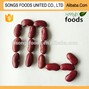 Wholesale type of chinese all variety beans